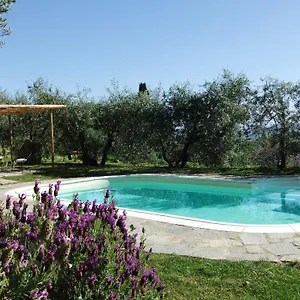 https://agriturismo-il-castagnolino.it-tuscanyhotel.com