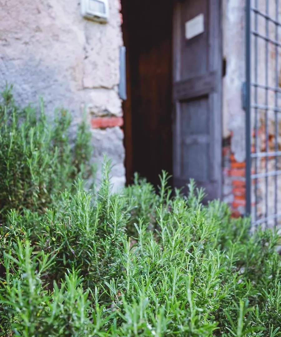 Agriturismo La Costa Guest House Perego Country house